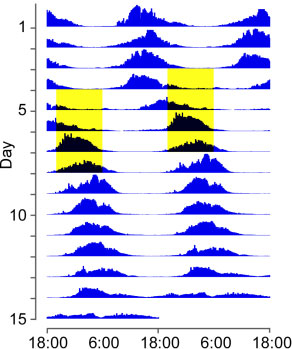 artificial light input graph