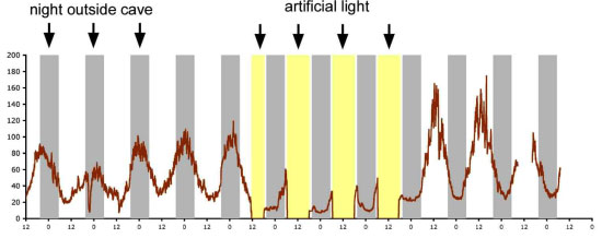 light input graph